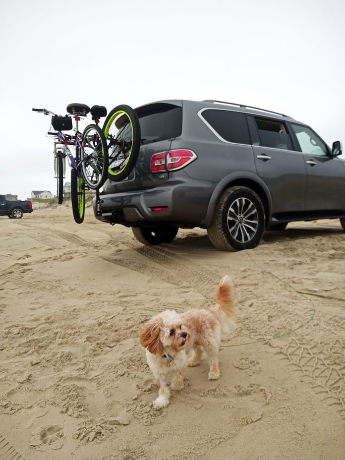 A grey four-wheel-drive SUV with bikes on a rear rack parked on the sand, a small dog running past on the beach.
