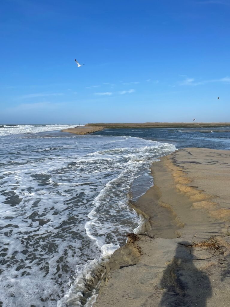 A drainage channel from the Salt Pond has broken through the beach to the ocean, cutting a shallow stream across the sand.