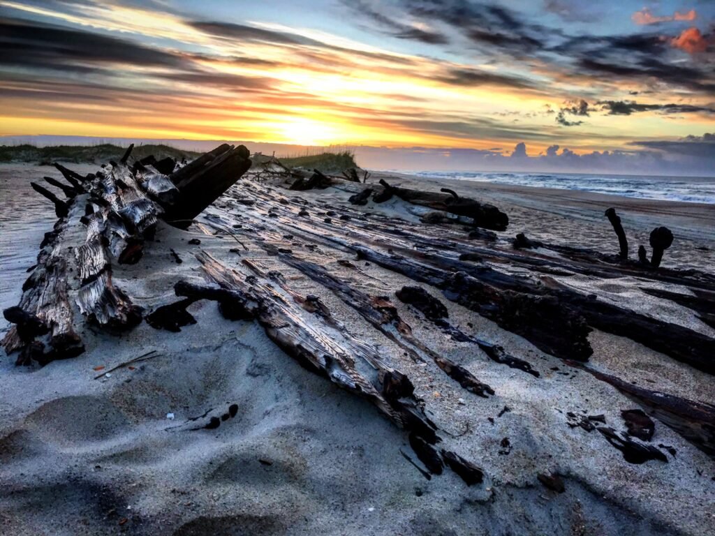 Weathered wooden ribs and timbers of an old shipwreck lie exposed in the wet sand south of Ramp 55.